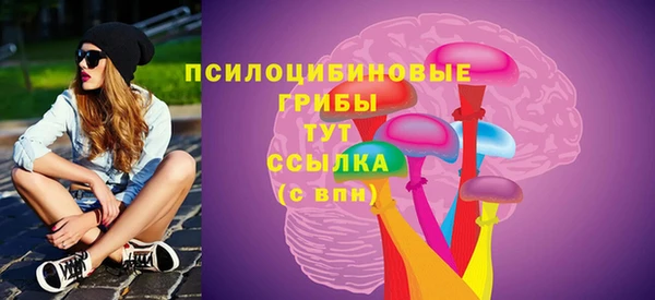 ПСИЛОЦИБИНОВЫЕ ГРИБЫ Абдулино