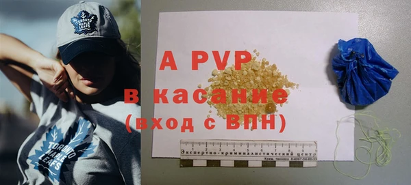 СК Пересвет