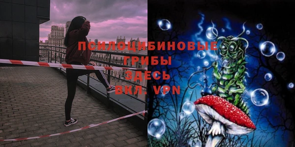 ПСИЛОЦИБИНОВЫЕ ГРИБЫ Абдулино