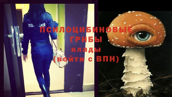 mix Абаза