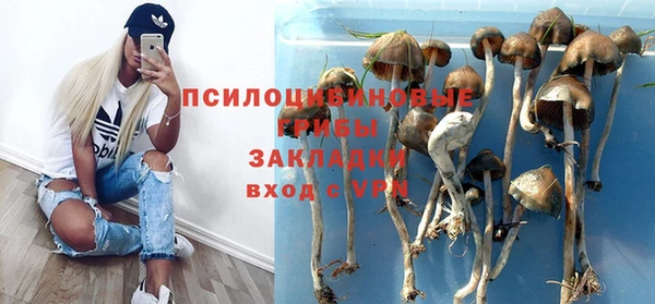 mix Абаза