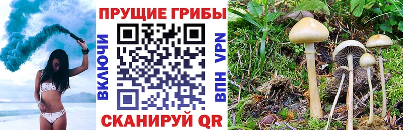 Псилоцибиновые грибы прущие грибы  Братск 